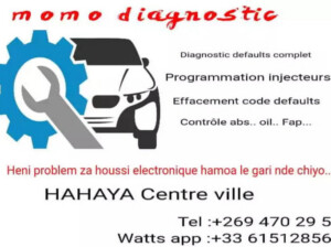 Diagnostic voiture