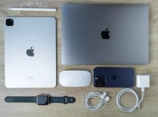 A Tribute to, and Progress of, the Apple Computer