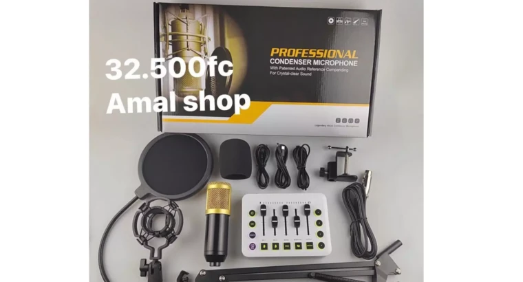 Kit Microphone Condensateur Professionnel