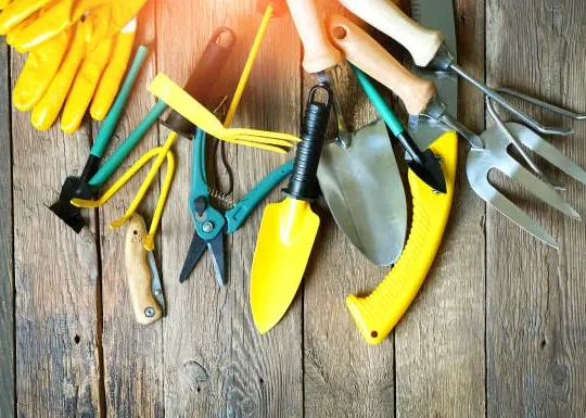 Garden Tools You Actually Need: The best resource for all gardeners regardless of experience level.