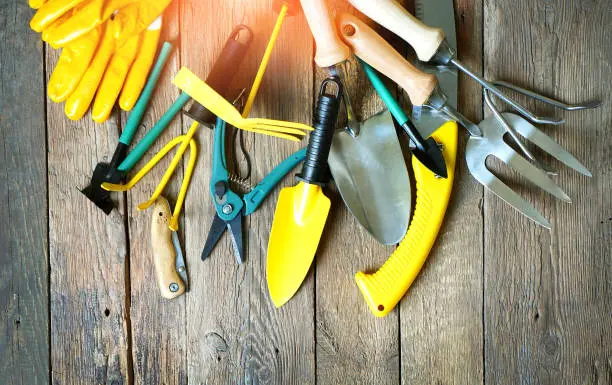 Garden Tools You Actually Need: The best resource for all gardeners regardless of experience level.